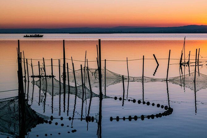 albufera-natural-park-with-a-boat-tour-from-valencia