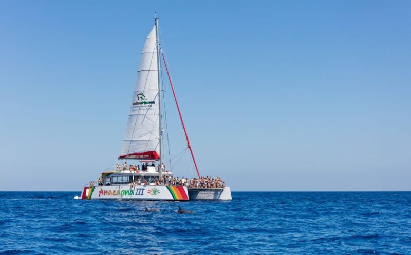 alcudia-sunset-catamaran-tour-with-dinner-and-snorkeling
