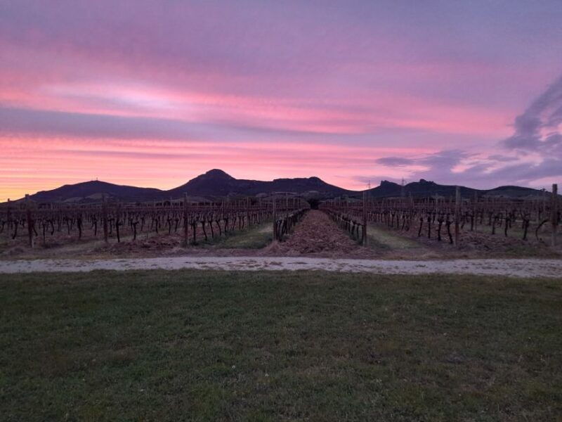 alghero-wine-tasting-w-local-aperitif-in-the-vineyard