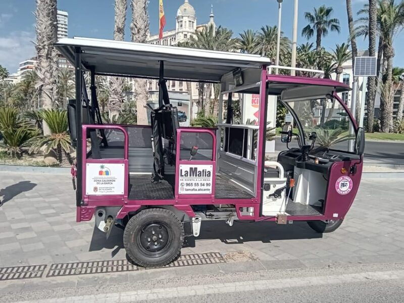 alicante-tuk-tuk-tour-electric-60-minutes-electric