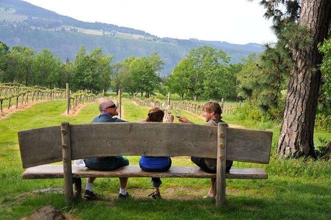 amarone-wine-tour-with-2-wineries-lunch-and-private-transfer