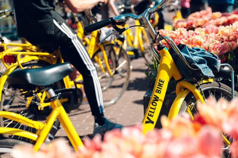 amsterdam-bike-rental