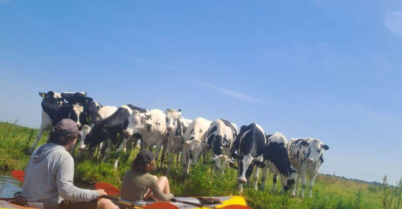 amsterdam-countryside-bike-and-kayak-guided-tour