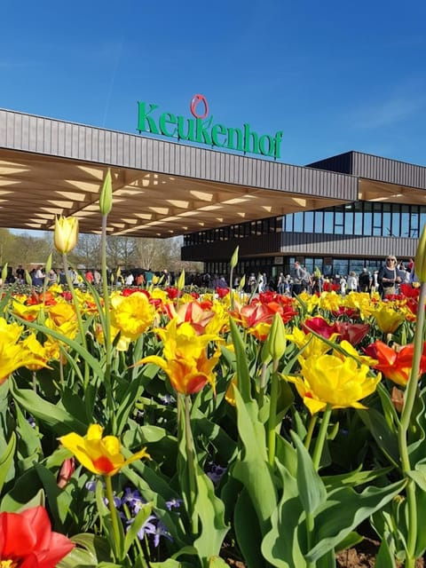 amsterdam-keukenhof-flowerfarm-tour-including-tickets