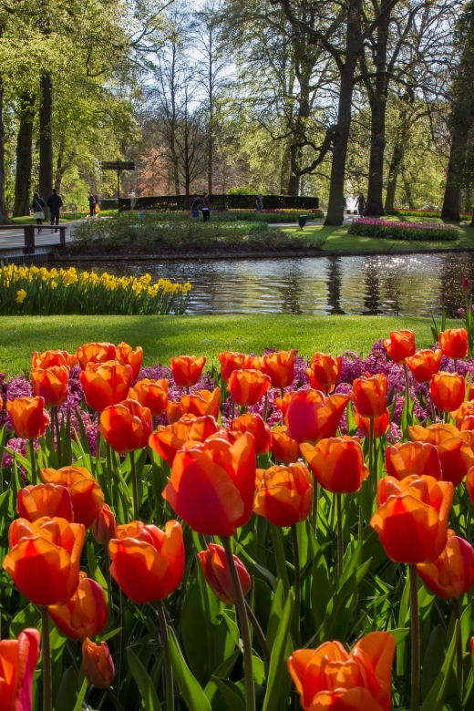 amsterdam-tour-to-keukenhof-gardens-with-windmill-cruise