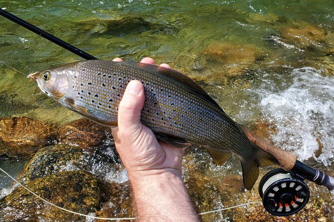 anchorage-guided-fly-fishing