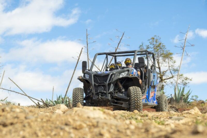 anfi-beach-guided-buggy-tour
