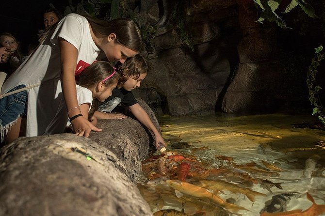 antalya-aquarium-tour-platinium-tour