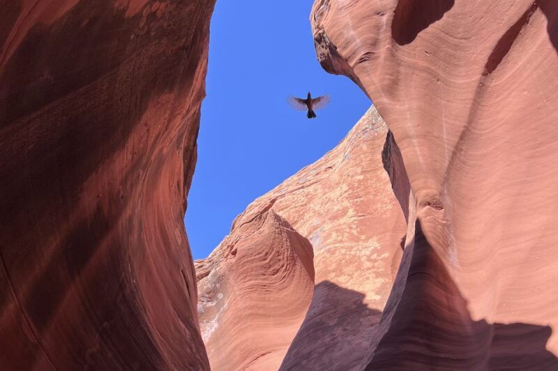 antelope-canyon-rattlesnake-canyon-tour