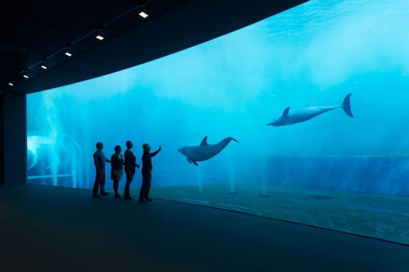 aquarium-of-genoa-ticket-and-whale-watching-cruise