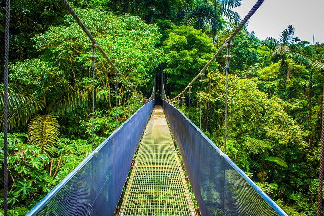 arenal-hanging-bridges-from-la-fortuna