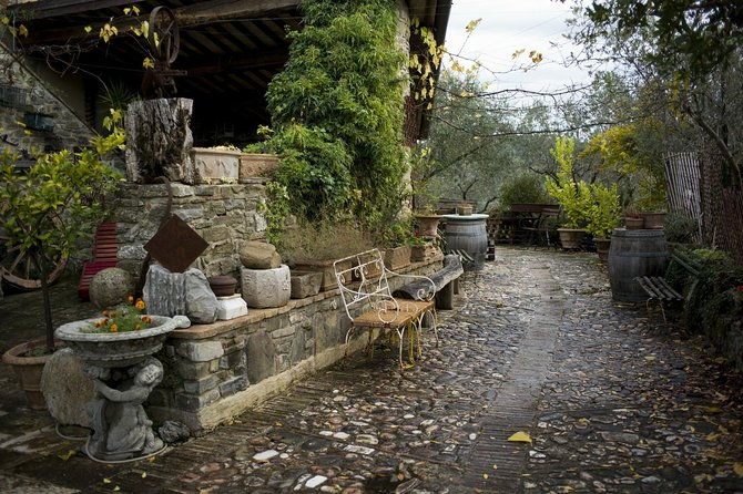 assisi-deruta-organic-gourmet-lunch-at-the-olive-oil-farmhouse-from-siena