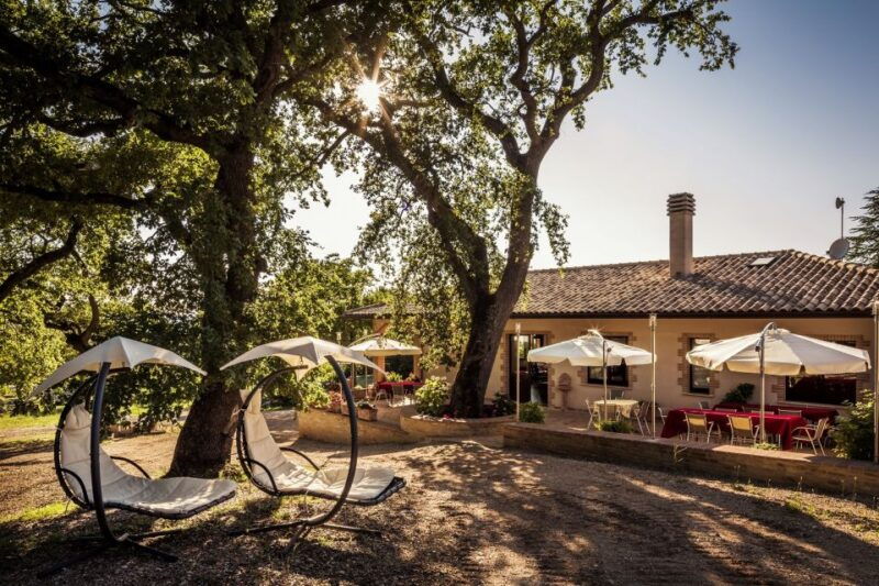 assisi-organic-wine-and-cheese-tasting