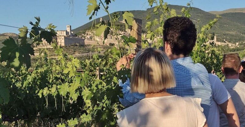 assisi-wine-tasting-gourmet-pairing-walk-in-the-vineyards