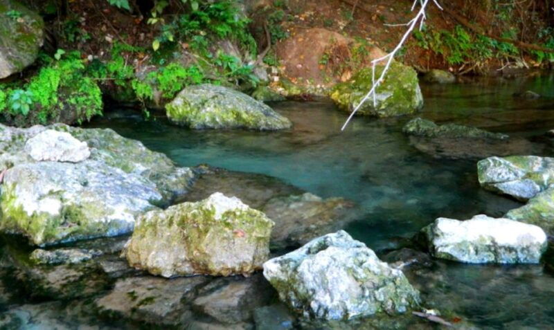 austin-journey-to-the-springs-guided-tour