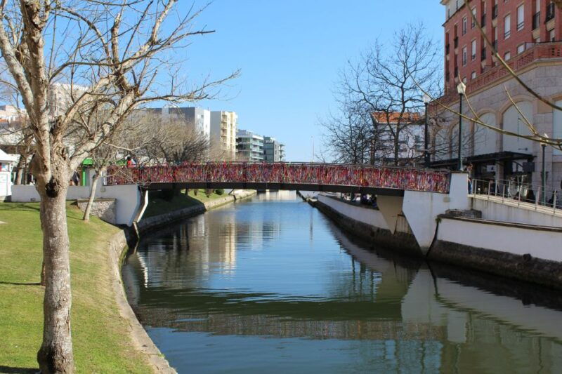 aveiro-private-walking-tour-in-the-city-and-moliceiro-boat