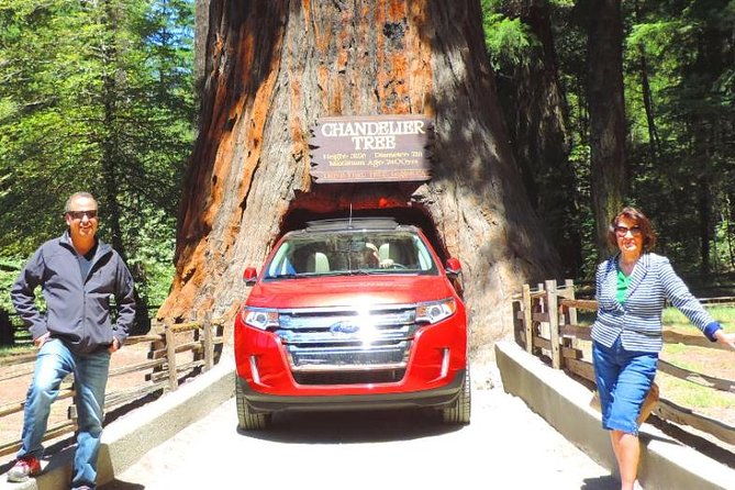 avenue-of-the-giant-redwood-private-1-day-tour-from-san-francisco