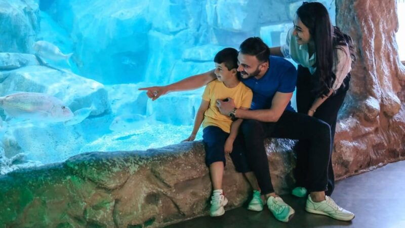 barcelona-hop-on-hop-off-bus-aquarium-tour