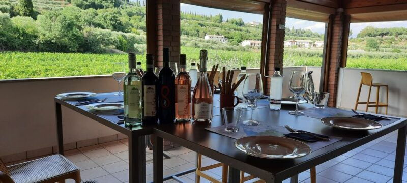 bardolino-vineyard-tour-with-wine-olive-oil-food-tasting