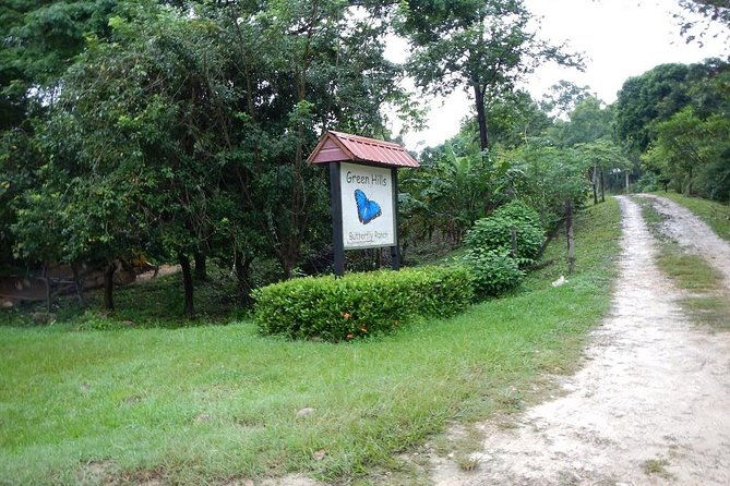 barton-creek-cave-butterfly-farm