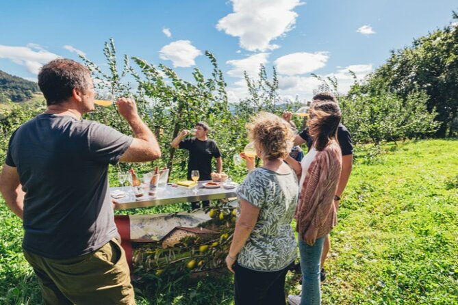 basque-whaleship-cider-house-tour-meal-from-san-sebastian