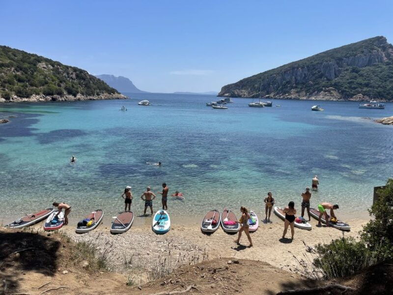 beach-of-the-cows-stand-up-paddle-tour-and-breakfast