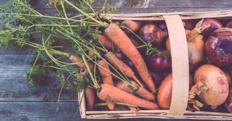 beacon-food-farm-tour-in-the-hudson-valley