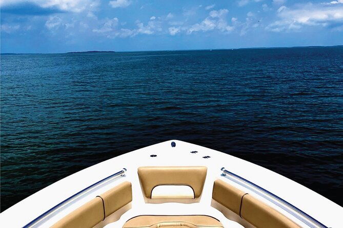 beaufort-private-dolphin-excursions