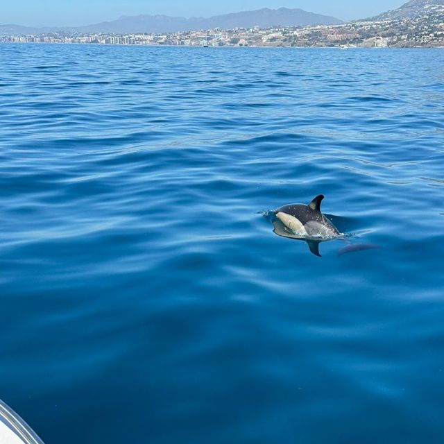 benalmadena-boat-rental-in-malaga-for-hours