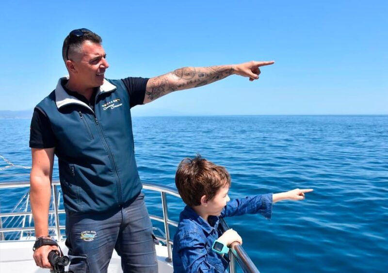 benalmadena-dolphin-watching-boat-tour