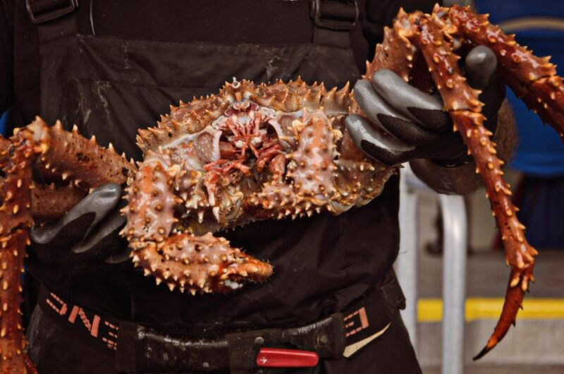 bering-sea-crab-fishermens-tour