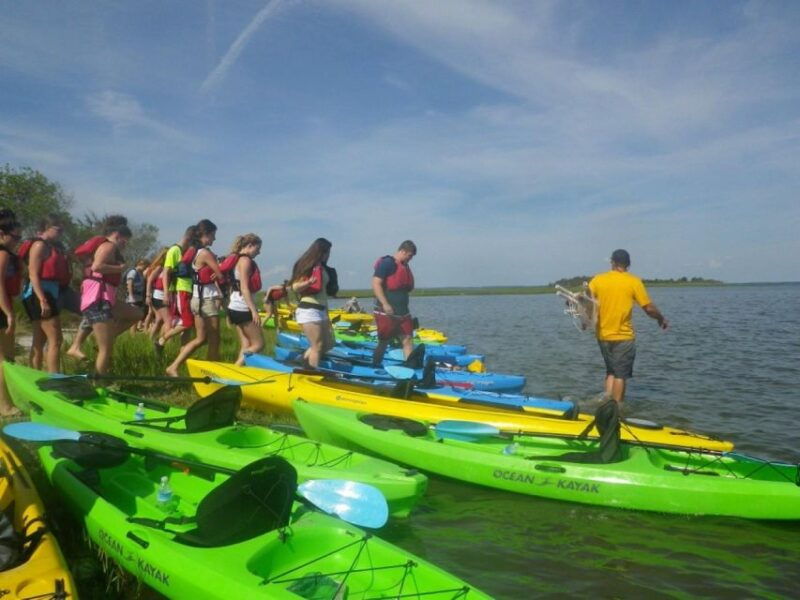 berlin-assateague-island-wildlife-discovery-kayak-tour