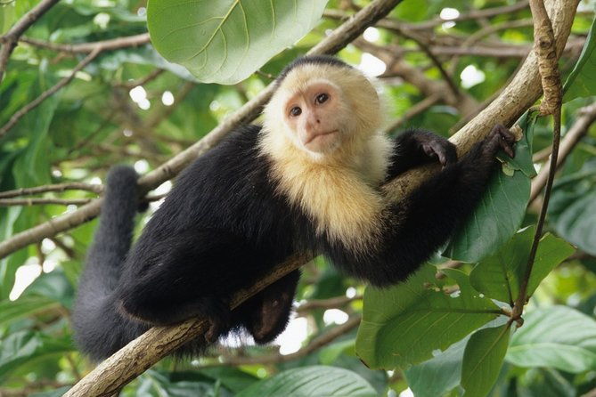best-of-costa-rica-12d-11n-vacation-package