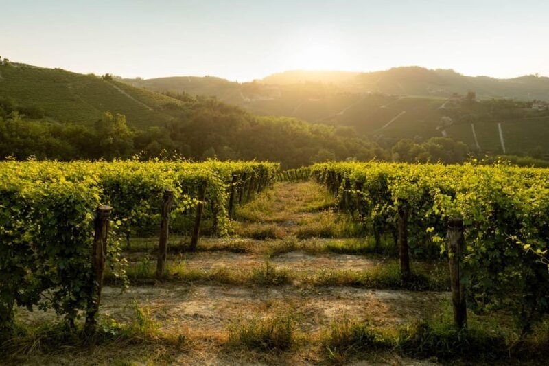 best-of-monforte-dalba-wine-tasting-traditional-meal