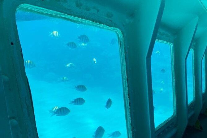 best-of-roatan-by-land-and-sea