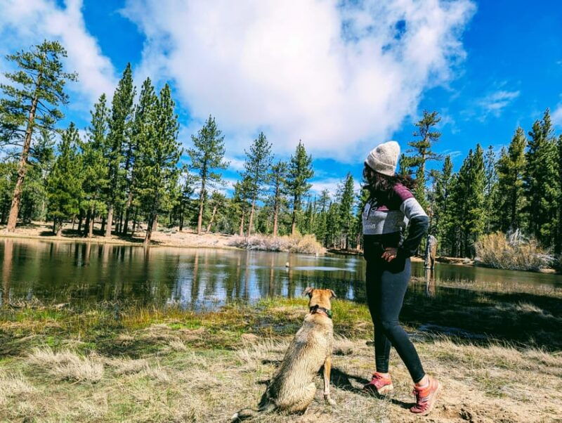 big-bear-family-friendly-nature-walk-w-hot-chocolate