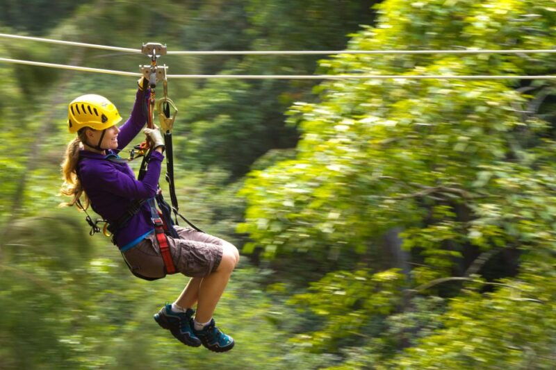 big-island-3-hour-kohala-canopy-zipline-adventure