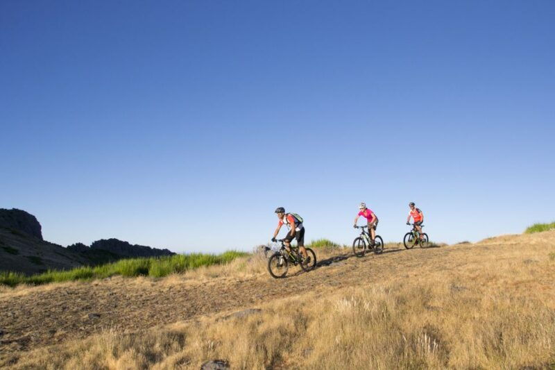 bike-tour-botanical-levels-of-madeira-trail-experience