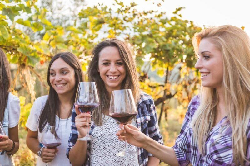 bilbao-organic-winery-visit-with-tasting