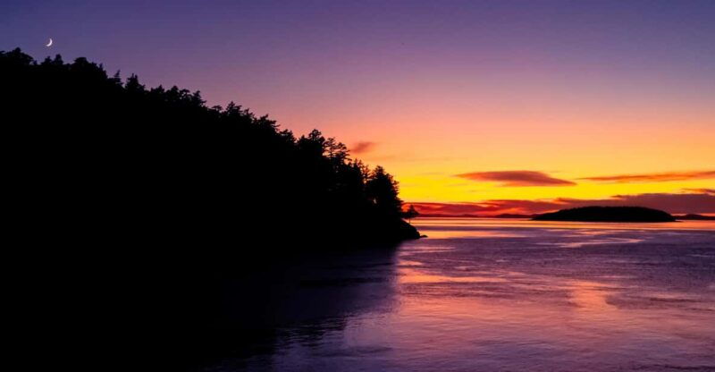 bioluminescence-night-paddle