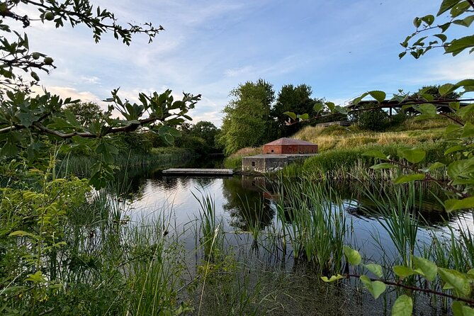 bird-watching-private-tour-in-copenhagen