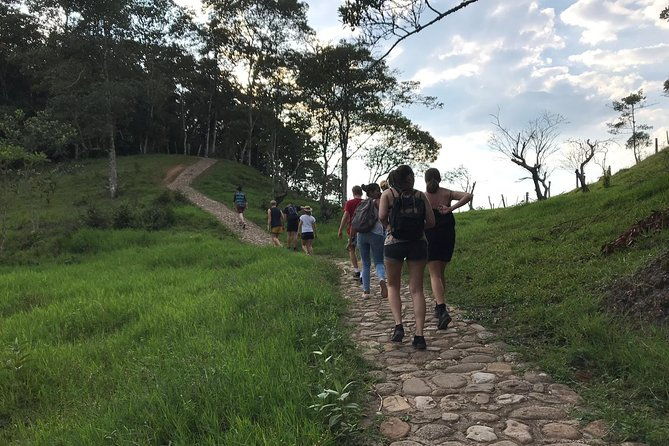 bird-watching-tour-departing-from-bogota-2-days