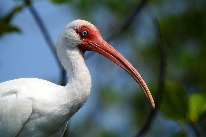 birdwatching-tour