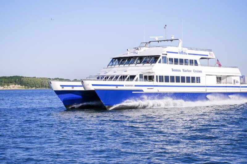 boston-whale-watching-catamaran-cruise