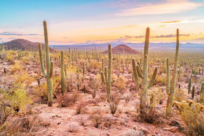 box-canyon-and-pinal-mountains-half-day-atv-tour