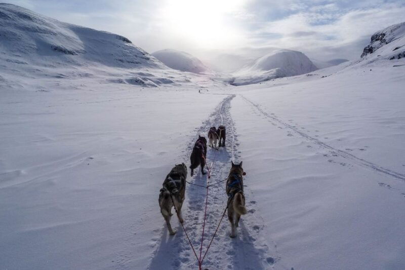 bozeman-6-day-yellowstone-winter-wonderland-tour