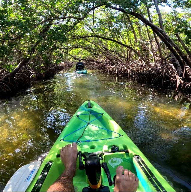 bradenton-guided-pedal-kayak-tour