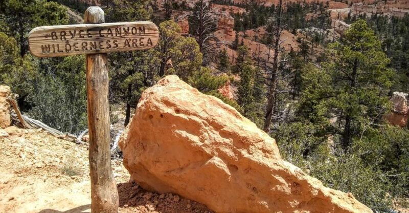 bryce-guided-sightseeing-tour-of-bryce-canyon-national-park
