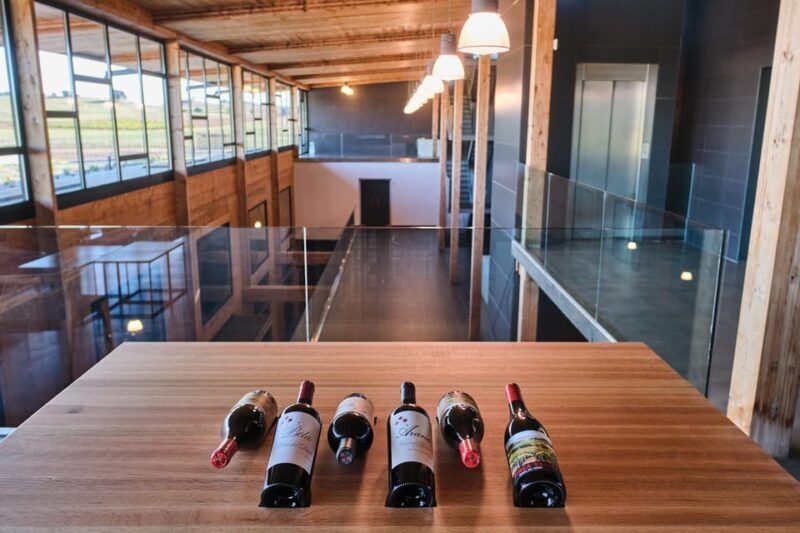 burgos-bela-winery-villalba-de-duero