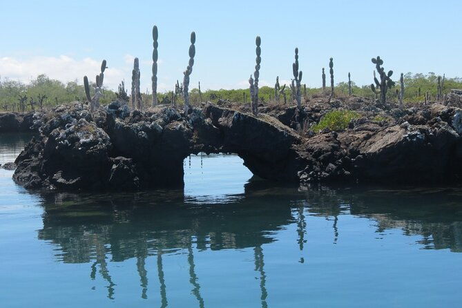 cabo-rosa-tuneles-hiking-snorkeling-tour-from-isabela
